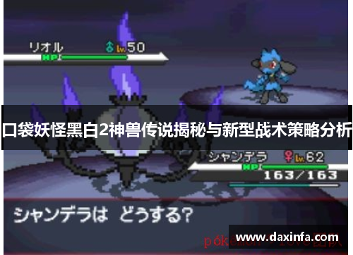 口袋妖怪黑白2神兽传说揭秘与新型战术策略分析
